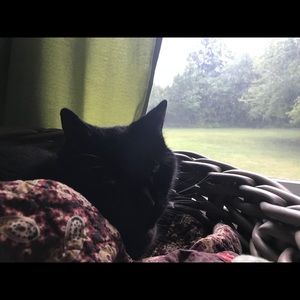 Meet your Posher, Andy